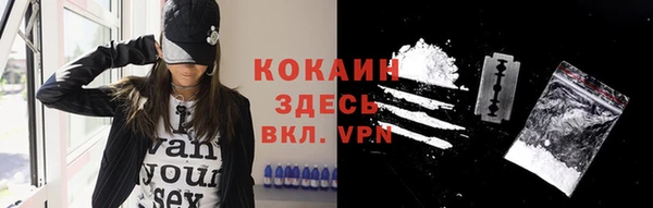 шишки Горнозаводск