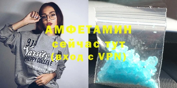 шишки Горнозаводск