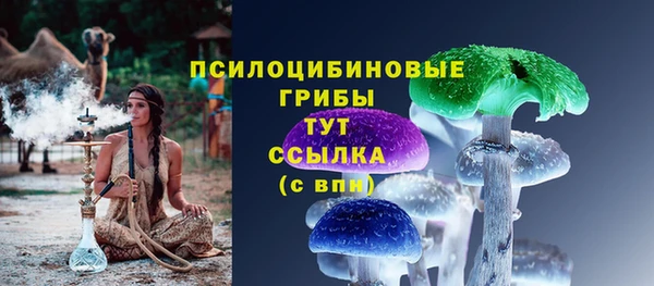 ALPHA-PVP Вяземский