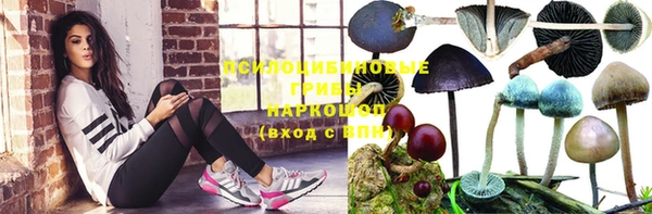 ALPHA-PVP Вяземский