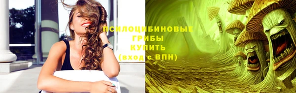 ALPHA-PVP Вяземский