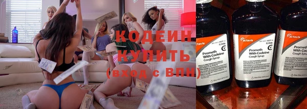 шишки Горнозаводск